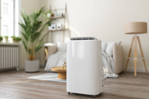 Best Furnace Cleaning in Corrales, NM